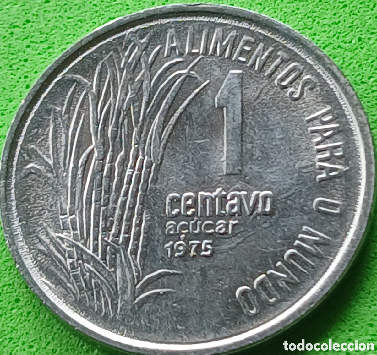Monedas antiguas de Am&eacute;rica: Brasil 1 centavo 1975 km#585 Ca&ntilde;a de az&uacute;car-FAO