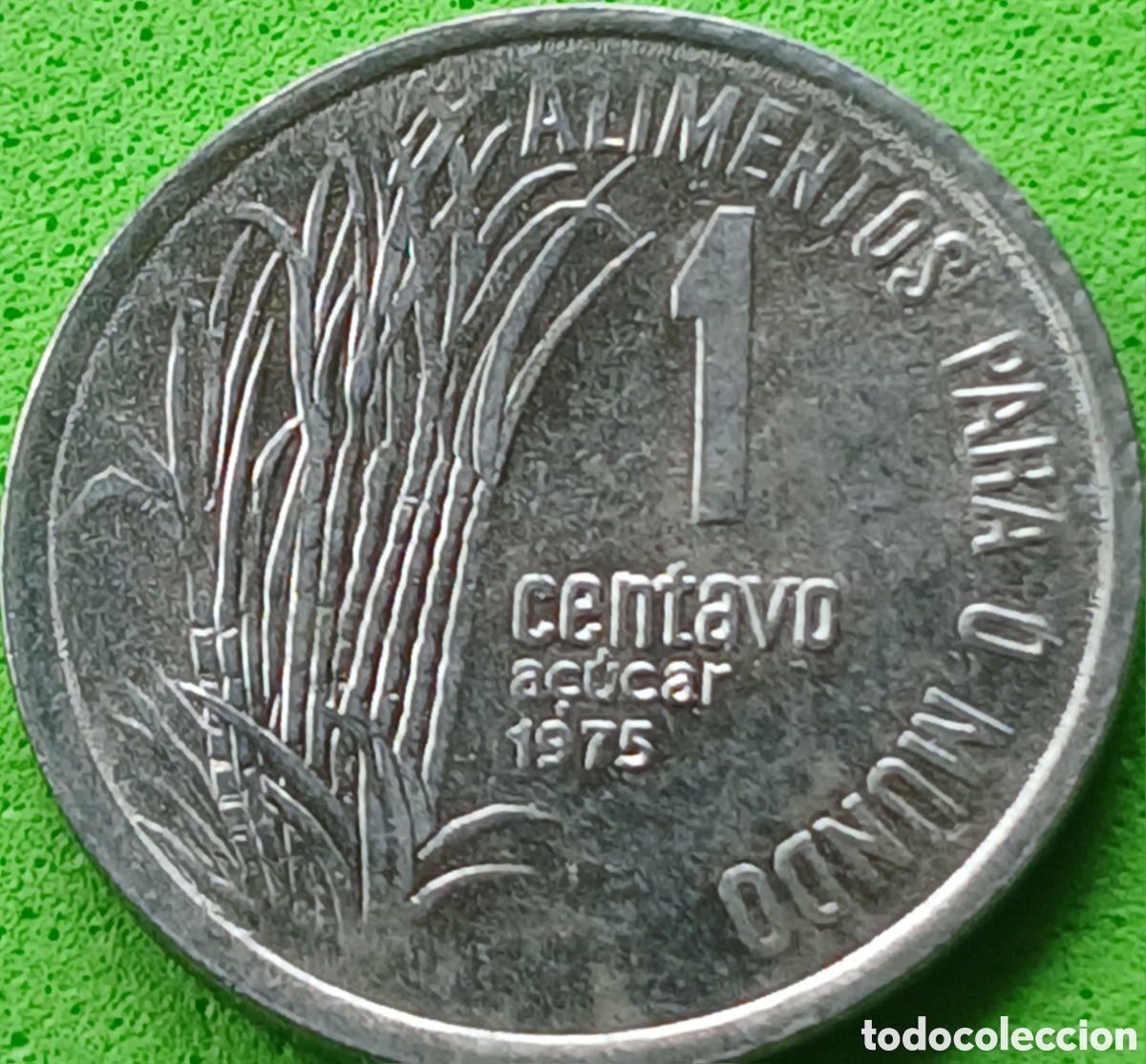 Monedas antiguas de Am&eacute;rica: Brasil 1 centavo 1975 km#585 Ca&ntilde;a de az&uacute;car-FAO