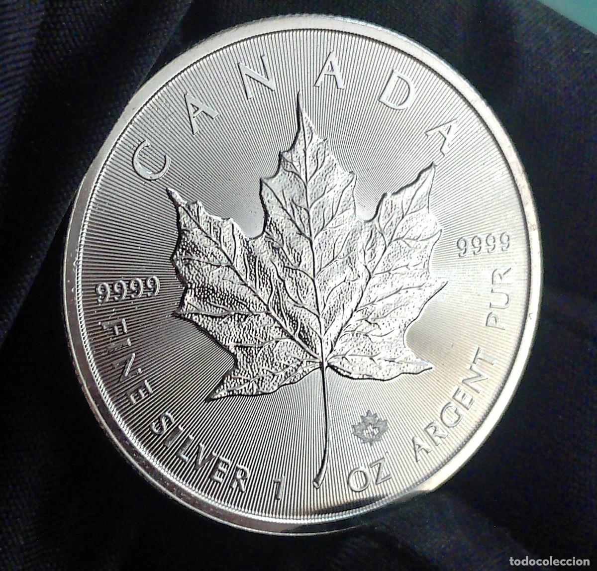 Monedas antiguas de Am&eacute;rica: 1 onza PLATA 999 Maple Leaf 2019 5$ Canad&aacute; EBC