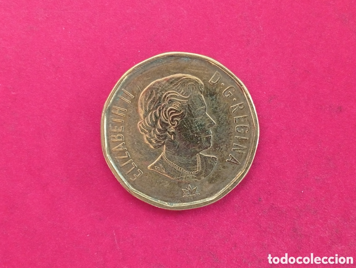 Monedas antiguas de Am&eacute;rica: 1 dolar Canad&aacute; 2017 conmemorativa - Foto 2