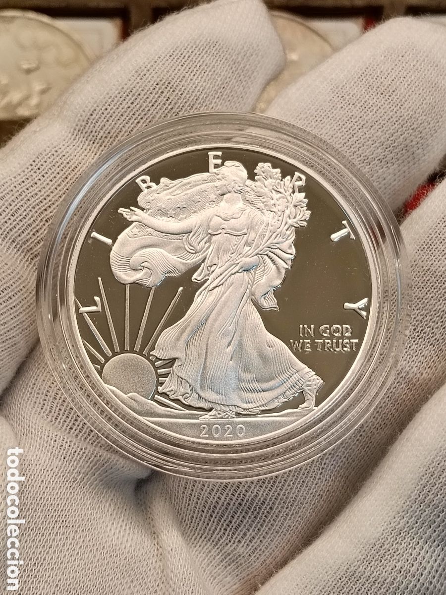 Monedas antiguas de Am&eacute;rica: 1 ONZA PLATA 999. ESTADOS UNIDOS 1 DOLAR A&Ntilde;O 2020 . PROOF . ONZA PLATA PURA
