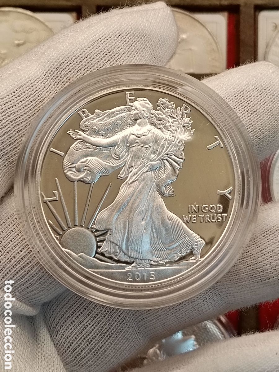Monedas antiguas de Am&eacute;rica: 1 ONZA PLATA 999. ESTADOS UNIDOS 1 DOLAR A&Ntilde;O 2015 . PROOF . ONZA PLATA PURA