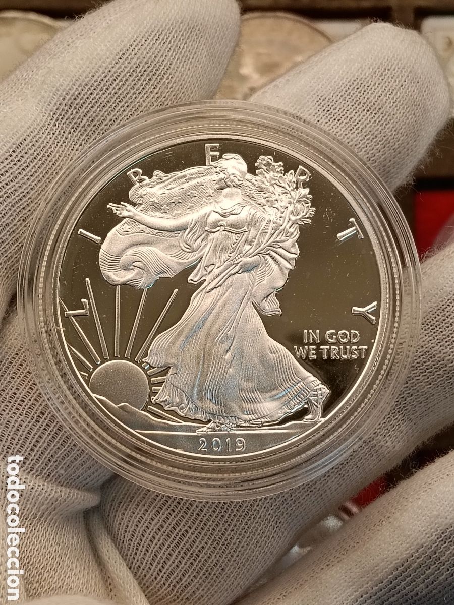 Monedas antiguas de Am&eacute;rica: 1 ONZA PLATA 999. ESTADOS UNIDOS 1 DOLAR A&Ntilde;O 2019 . PROOF . ONZA PLATA PURA