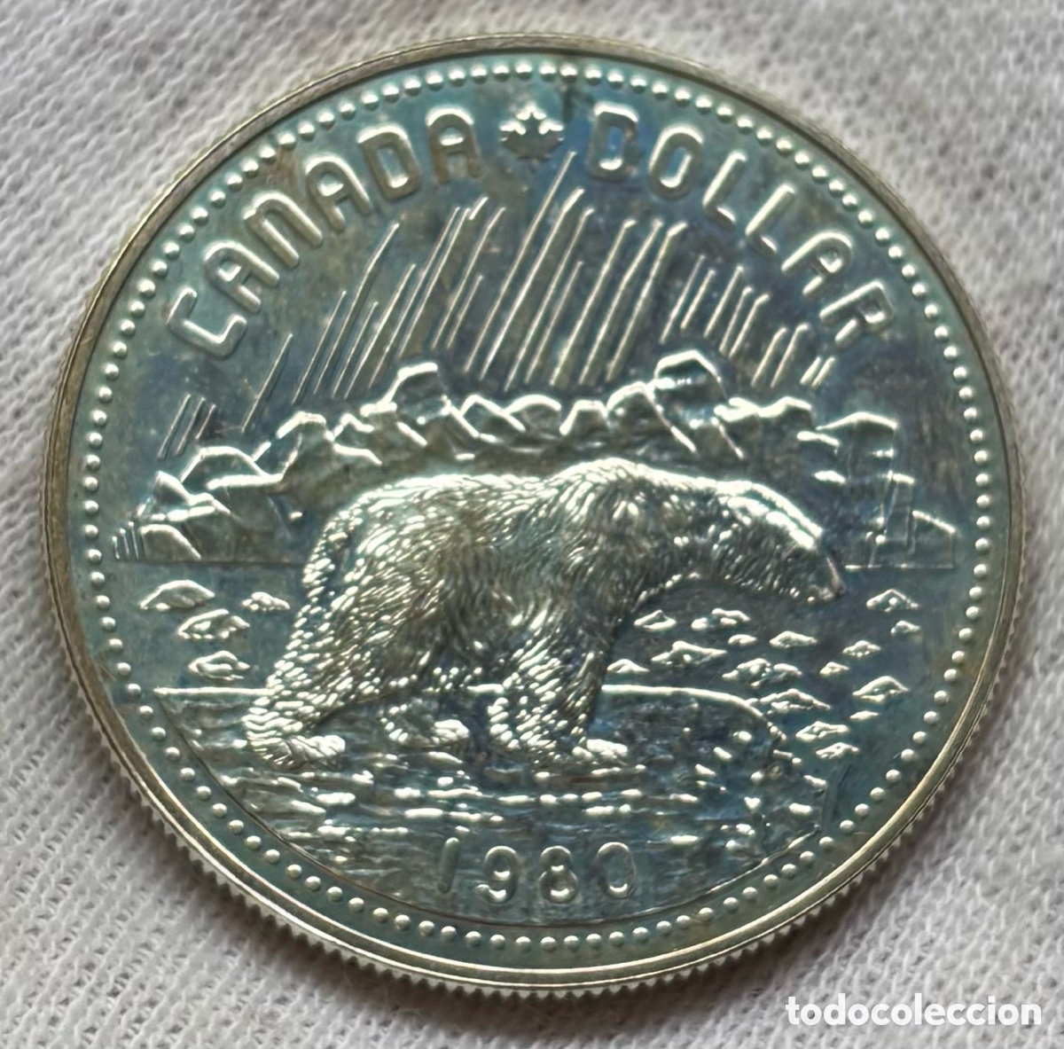 Monedas antiguas de Am&eacute;rica: Moneda PLATA CANAD&Aacute; 1 D&oacute;lar 1980 Oso Polar. Dollar