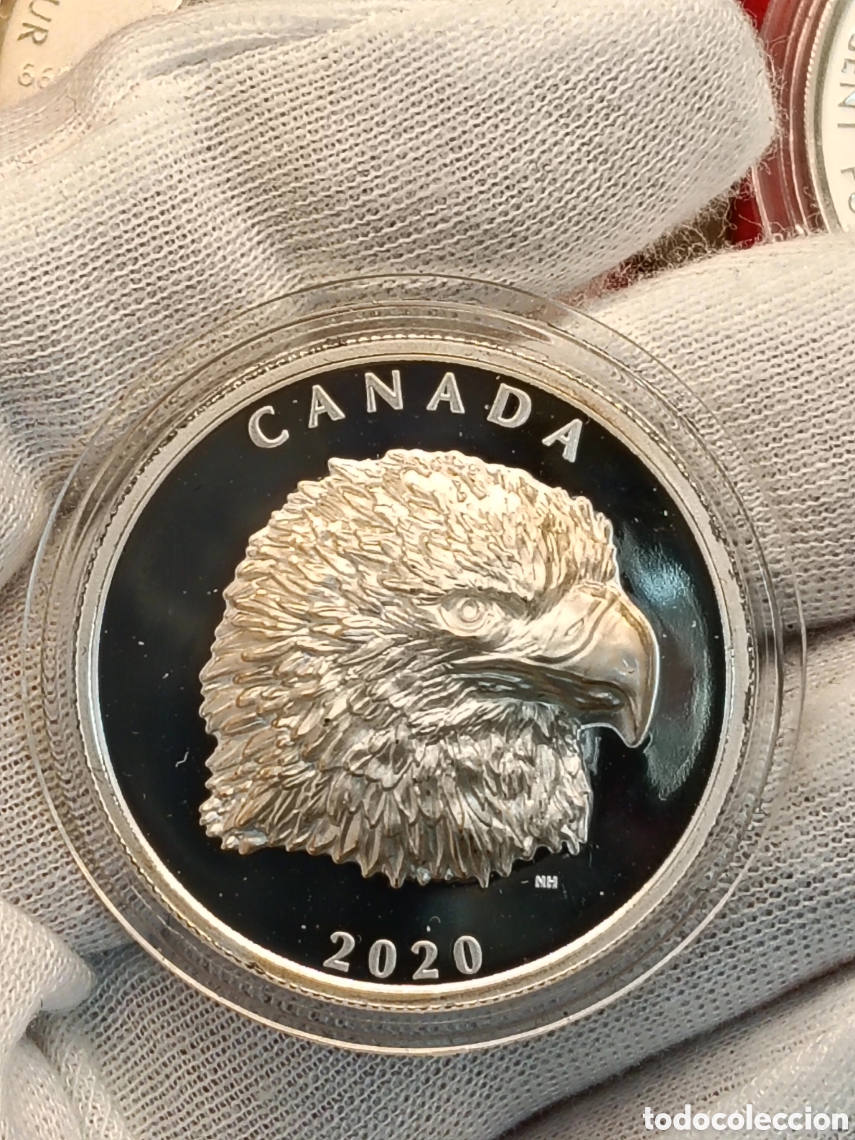 Monedas antiguas de Am&eacute;rica: CANADA 1 ONZA PLATA 999. A&Ntilde;O 2020 . RELIEVE ORGULLOSA AGUILA CALVA