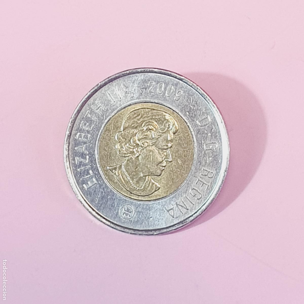 Monedas antiguas de Am&eacute;rica: MONEDA-CANAD&Aacute;-ISABEL II-2009-EXCELENTE-VER FOTOGRAF&Iacute;AS.