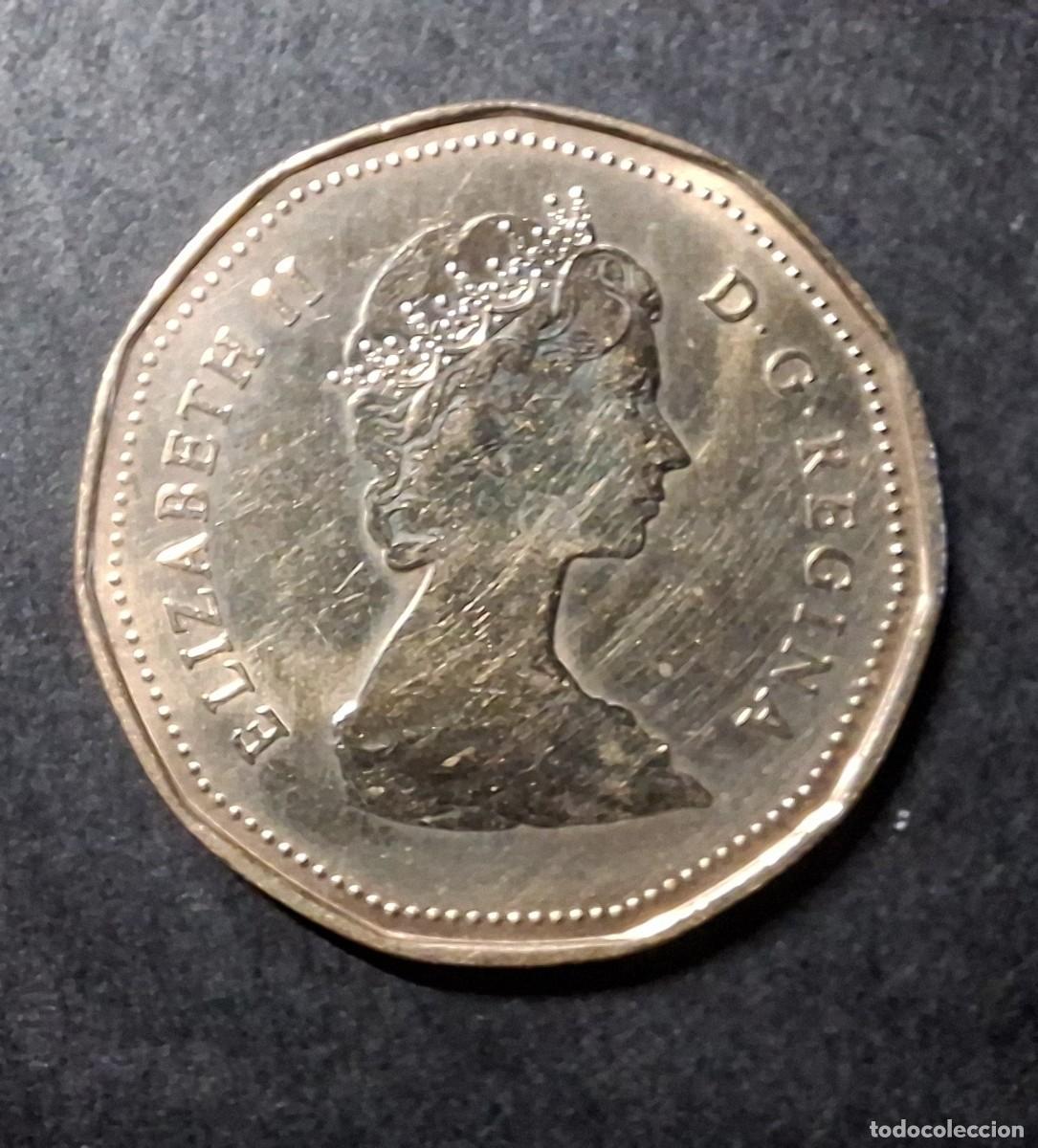 Monedas antiguas de Am&eacute;rica: CANAD&Aacute; 1$ 1987 KM 157 - Foto 2