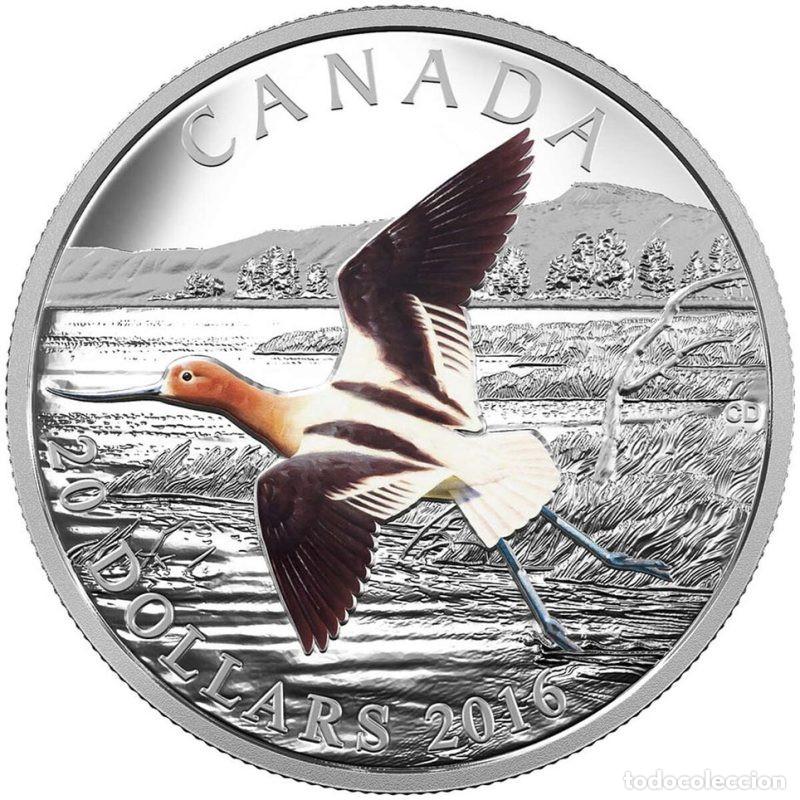 Monnaies anciennes d'Am&eacute;rique: CANADA 20 DOLLARS ONZA DE PLATA SILVER OZ PROOF 2016 AVOCETA AMERICANA