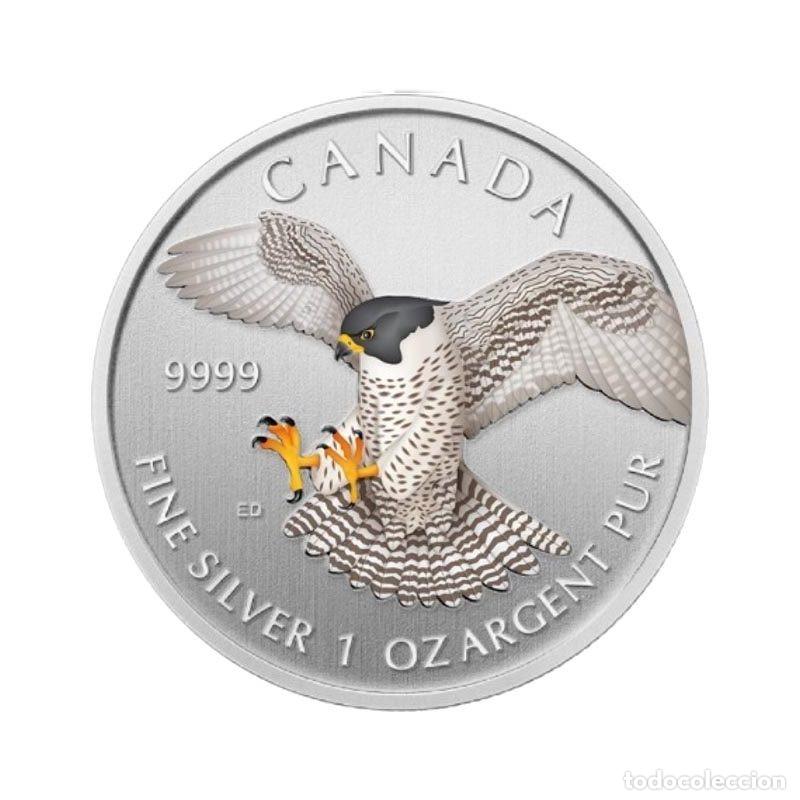 Old Coins of America: CANADA 5 DOLLARS ONZA DE PLATA FINE SILVER OZ 2014 HALCON PEREGRINO COLOR