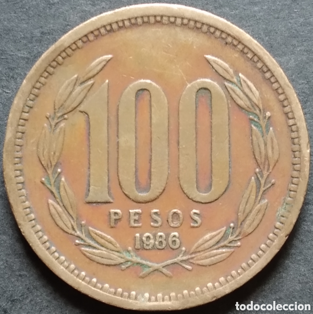 Old Coins of America: MONEDA - CHILE 100 PESOS 1986
