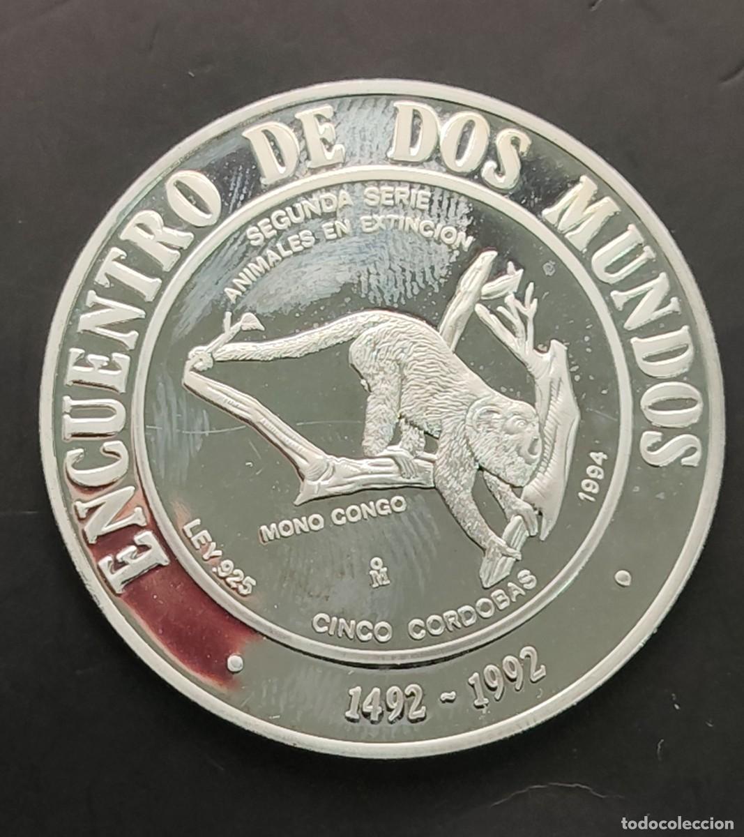 Old Coins of America: NICARAGUA. A&Ntilde;O 1994. 5 CORDOBAS PLATA II SERIE IBEROAMERICANA &rdquo; MONO CONGO &rdquo;. PESO 27 GR