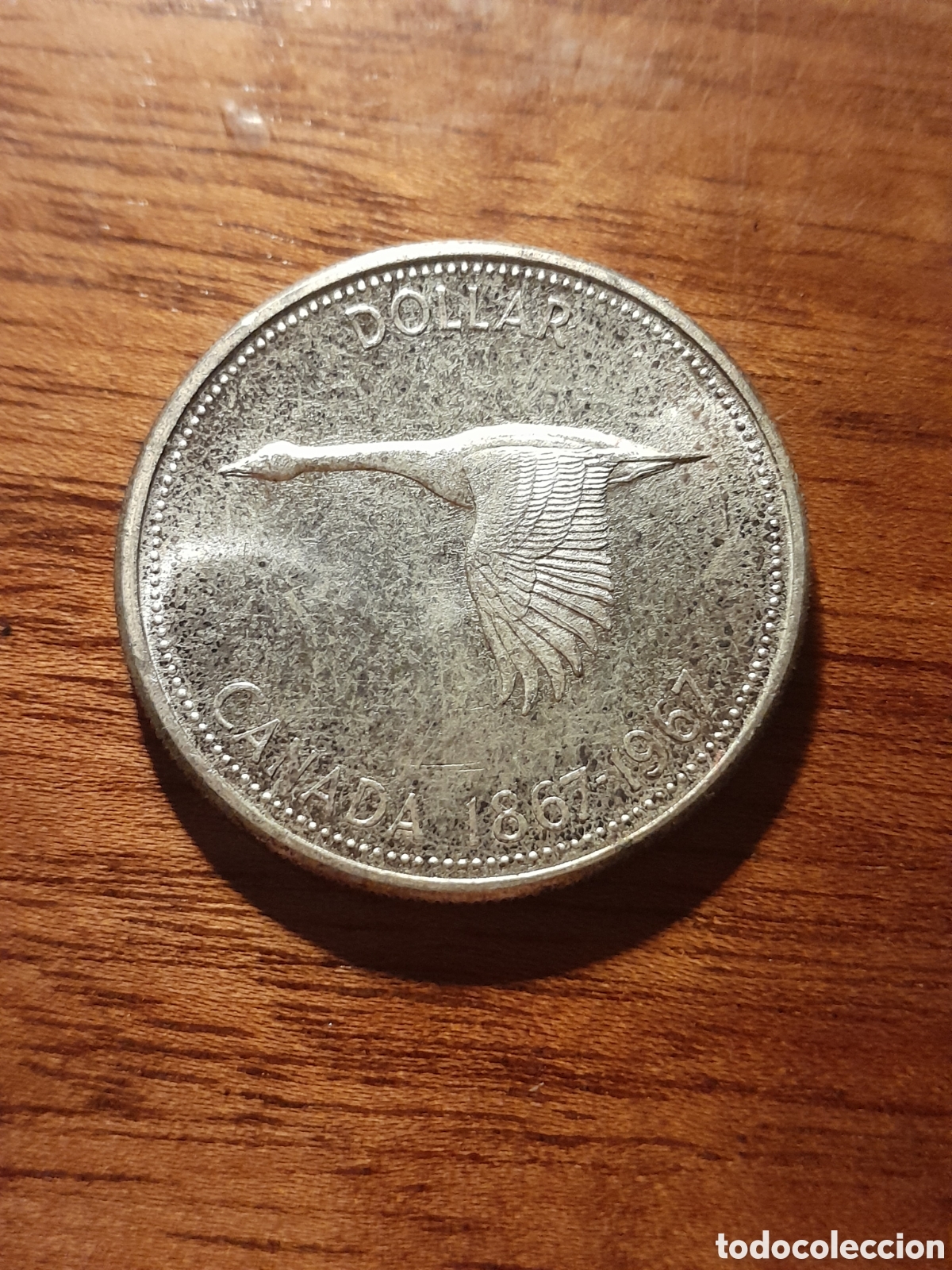 Old Coins of America: Canada, dolar plata 1967