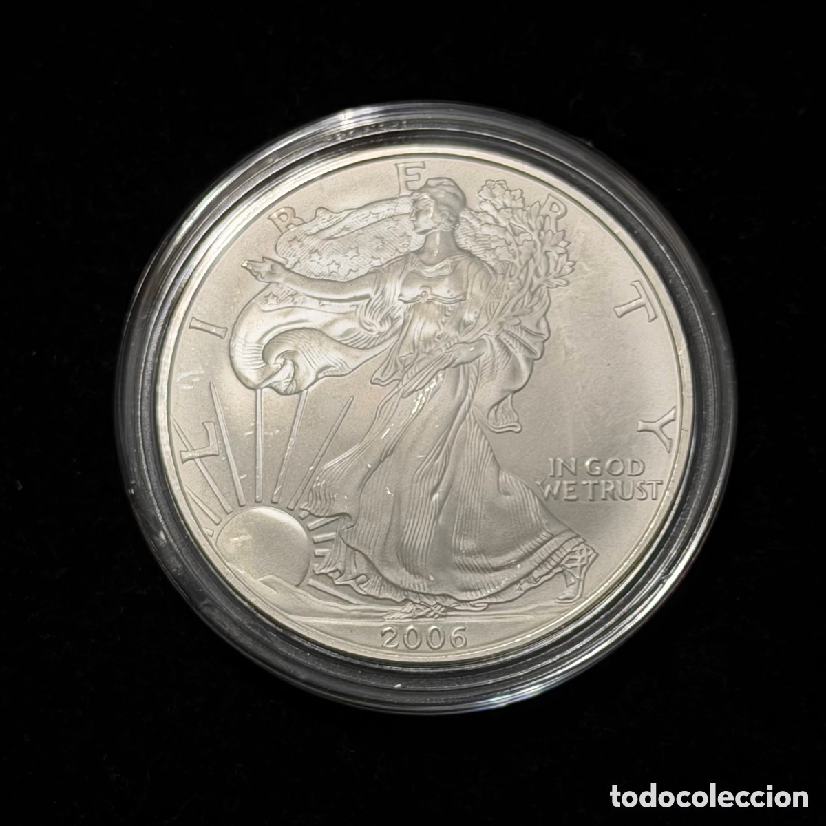 Monedas antiguas de Am&eacute;rica: American Eagle 2006 1 onza plata 999 c&aacute;psula