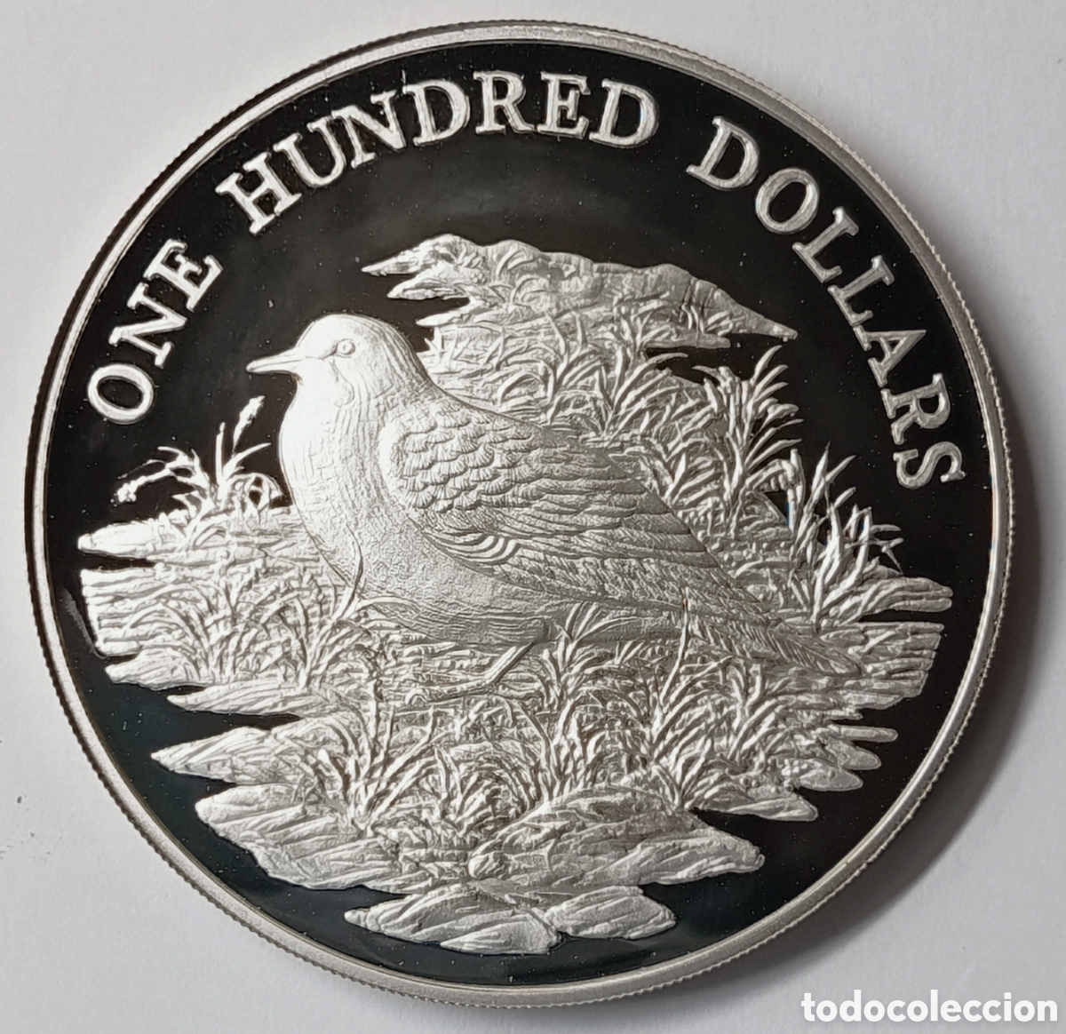 Monedas antiguas de Am&eacute;rica: GRENADA. PRECIOSA MONEDA DE 100 D&Oacute;LARES. 1988. PLATA. 129,59 GRS. 92,5% (3,8539 oz.) PROOF. MUY RARA