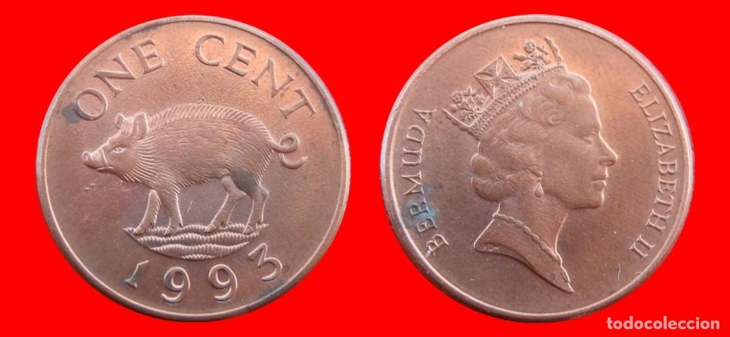 Monedas antiguas de Am&eacute;rica: 1 CENTAVO 1993 BERMUDA-157030