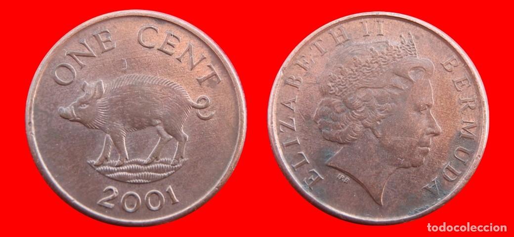 Monedas antiguas de Am&eacute;rica: 1 CENTAVO 2001 BERMUDA-157031