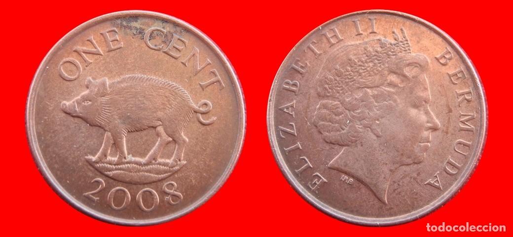 Monedas antiguas de Am&eacute;rica: 1 CENTAVO 2008 BERMUDA-157032