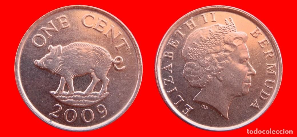 Monedas antiguas de Am&eacute;rica: 1 CENTAVO 2009 BERMUDA-157033