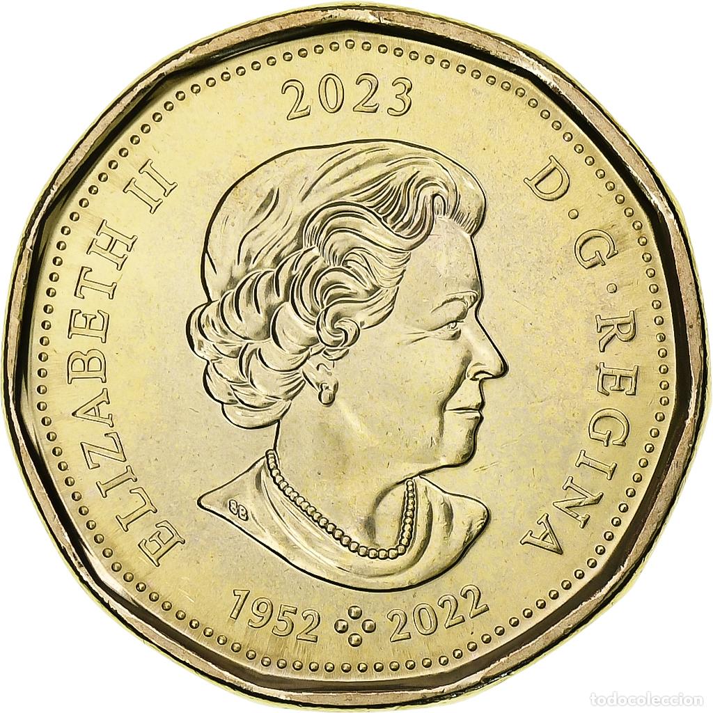 Monedas antiguas de Am&eacute;rica: [#1305545] Canad&aacute;, Dollar, Black-throated loon, 2023, Royal Canadian Mint, Lat&oacute;n chapado