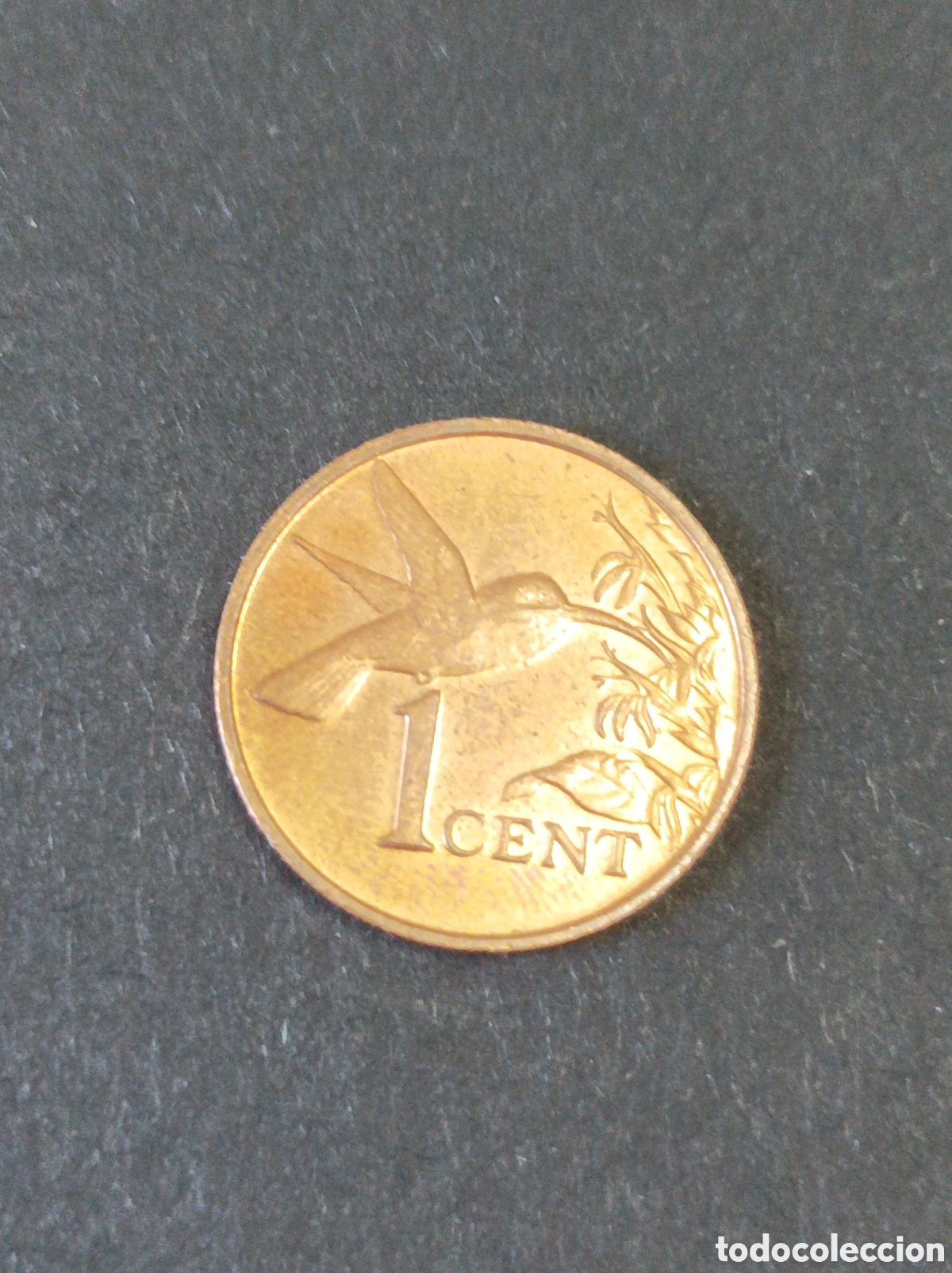 Monedas antiguas de Am&eacute;rica: 1 cent de trinidad y Tobago de 1999