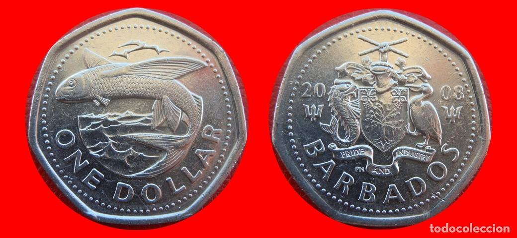 Monedas antiguas de Am&eacute;rica: 1 DOLAR 2008 BARBADOS-157250