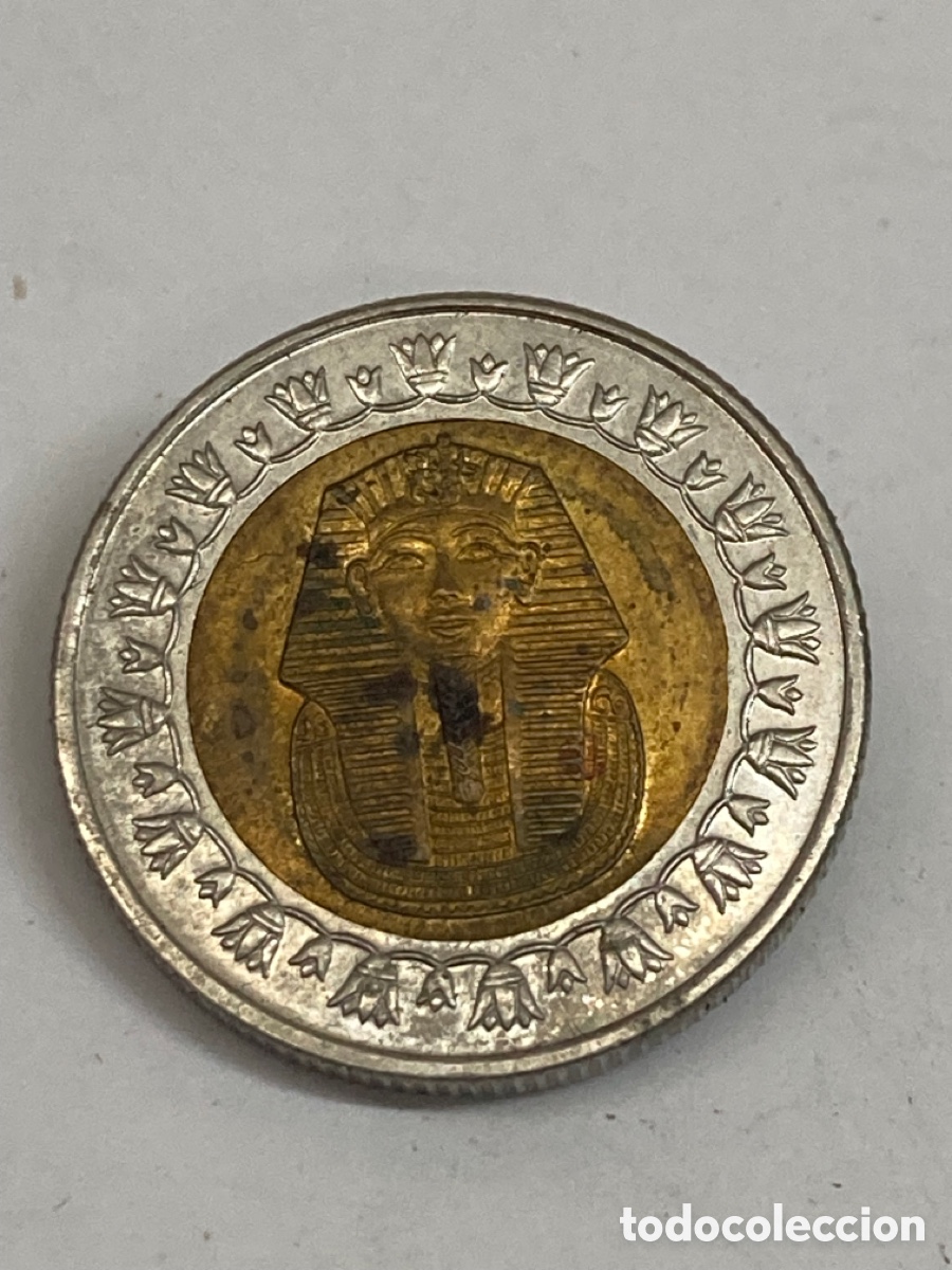 Monedas antiguas de Asia: Moneda 1 Pound Egipto 2007 M20 - Foto 2