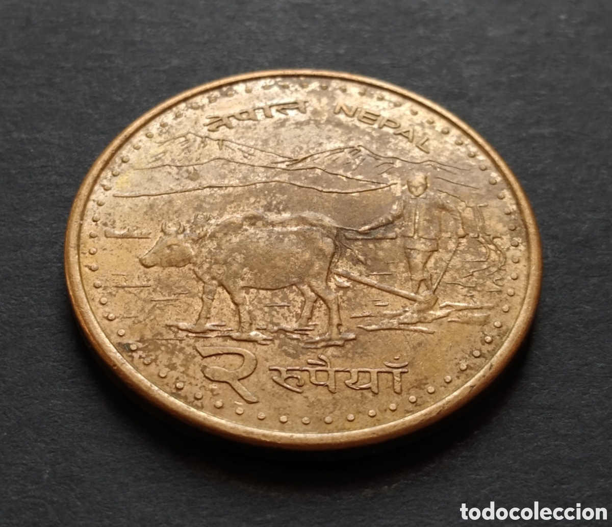 Monedas antiguas de Asia: MONEDA - NEPAL 2 RUPIAS 2009 - Foto 3