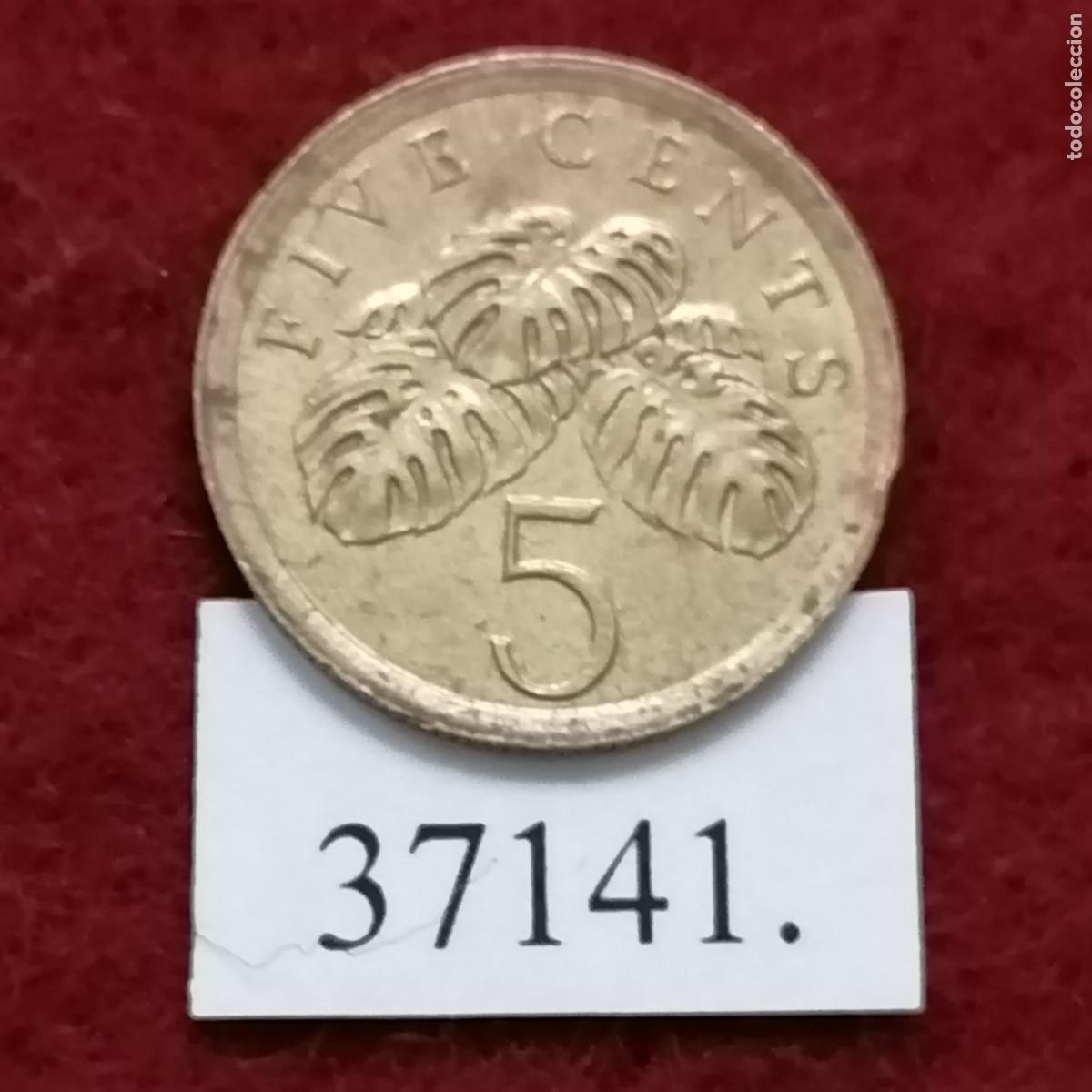Monedas antiguas de Asia: Singapur 5 c&eacute;ntimos 1988 - Foto 1