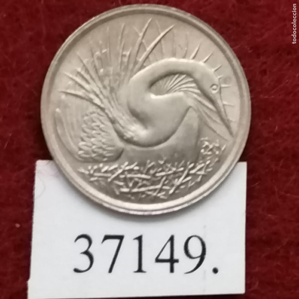 Monedas antiguas de Asia: Singapur 5 c&eacute;ntimos 1980 - Foto 2