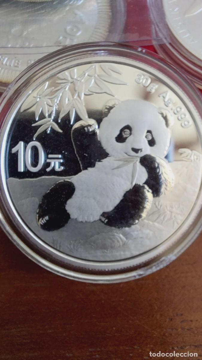 Monedas antiguas de Asia: Onza plata China Panda 2020 - Foto 1