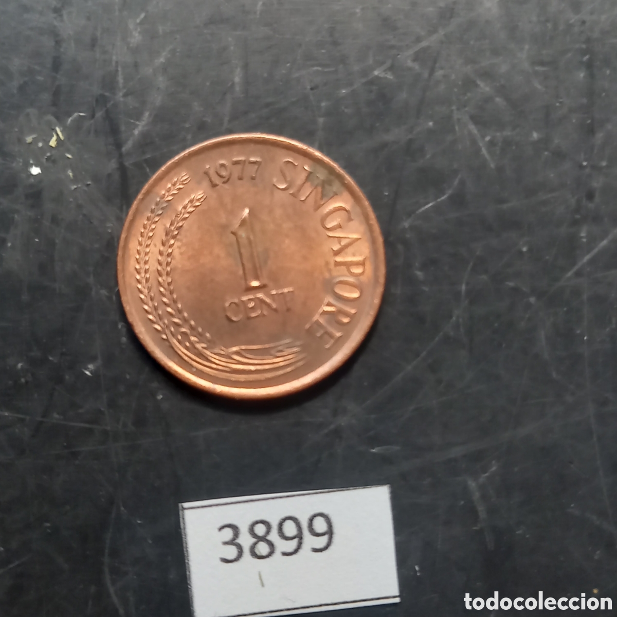 Monedas antiguas de Asia: Singapur 1 c&eacute;ntimo 1977 - Foto 2