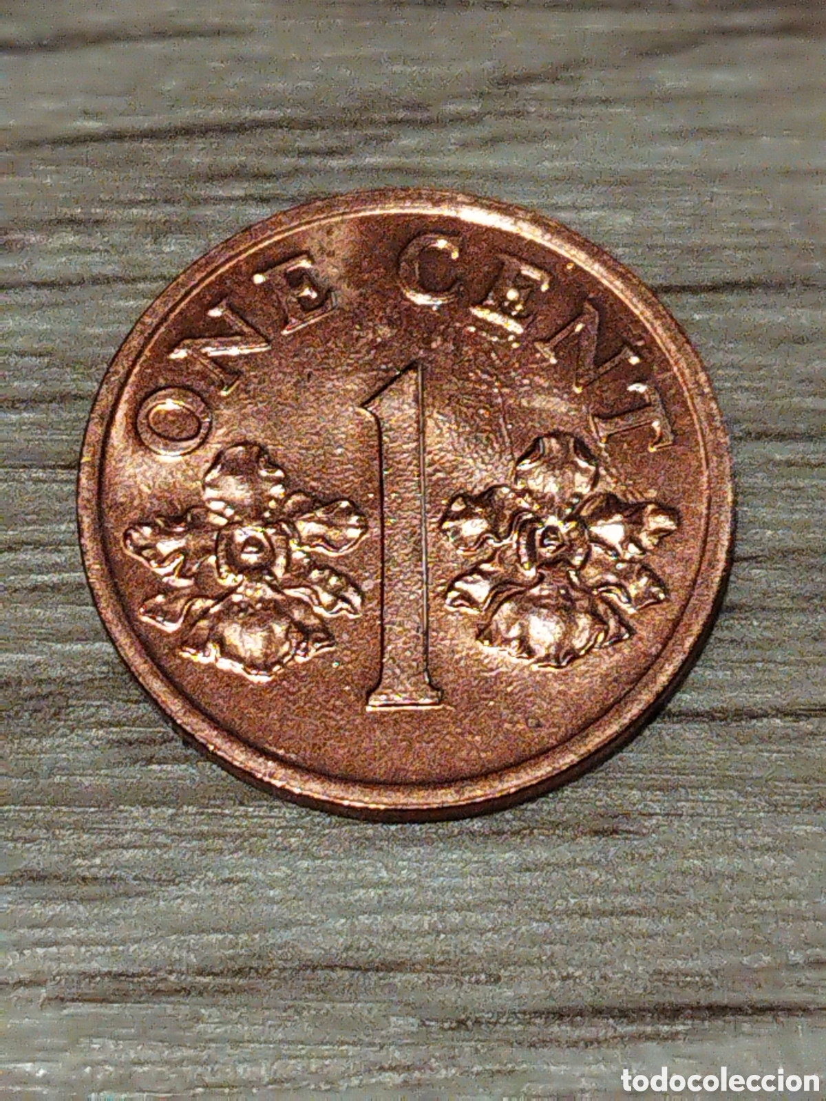 Monedas antiguas de Asia: Singapur 1 c&eacute;ntimo de 1994 km#98 - Foto 2
