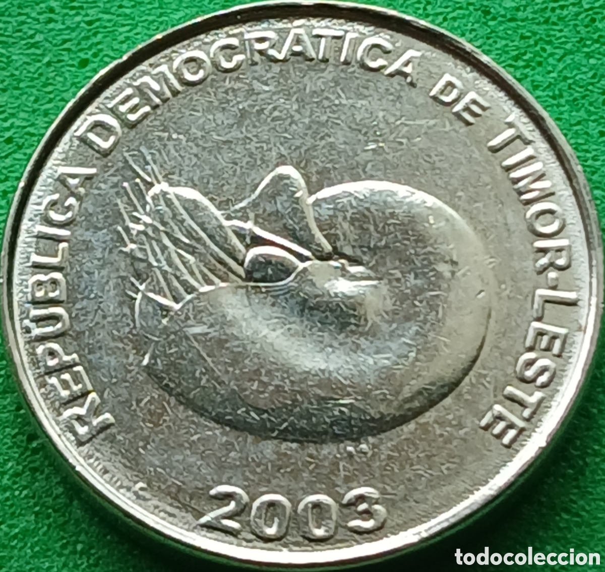 Monedas antiguas de Asia: Timor Oriental 1 centavo 2003 km#1