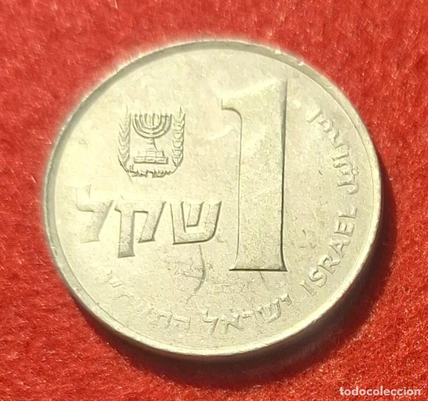 Monedas antiguas de Asia: MONEDA DE ISRAEL 1981 - 1 SHEQEL - COBRE-N&Iacute;QUEL