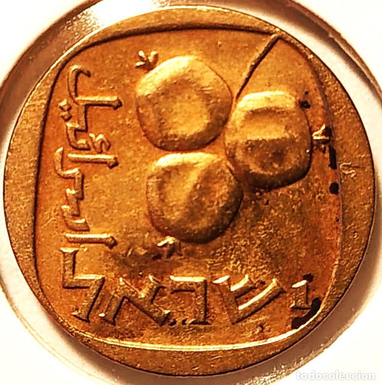 Monedas antiguas de Asia: ISRAEL (1960-1980) - 5 AGOROT JE 5722 (1962) - A - 2,30 GR. BRONCE DE ALUMINIO - DIAMETRO 17,50 mm