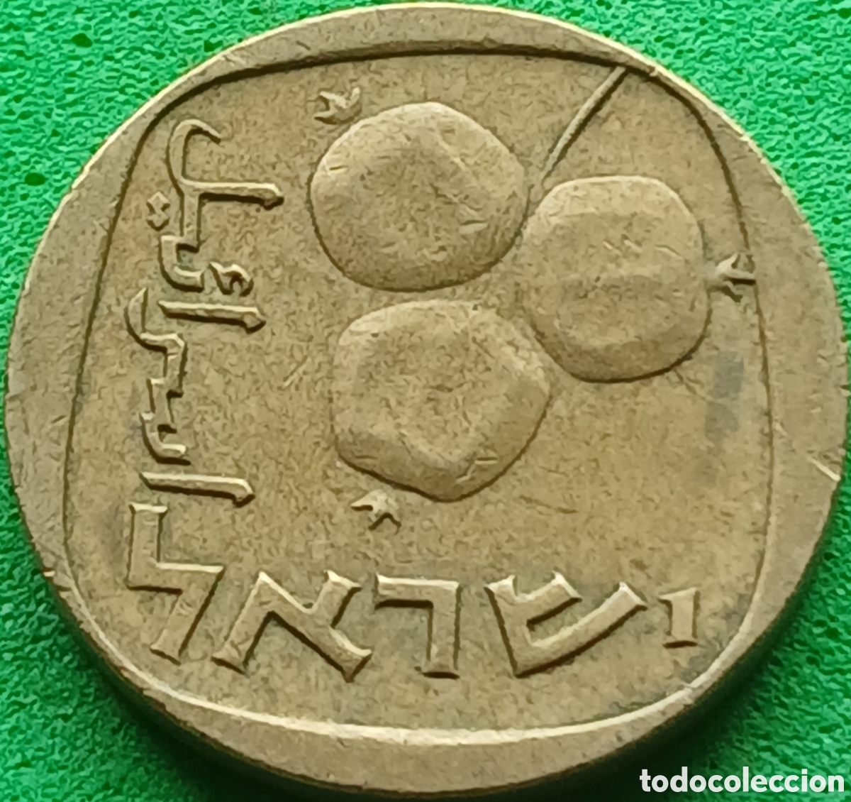 Monedas antiguas de Asia: Israel 5 agorot 1962 km#25