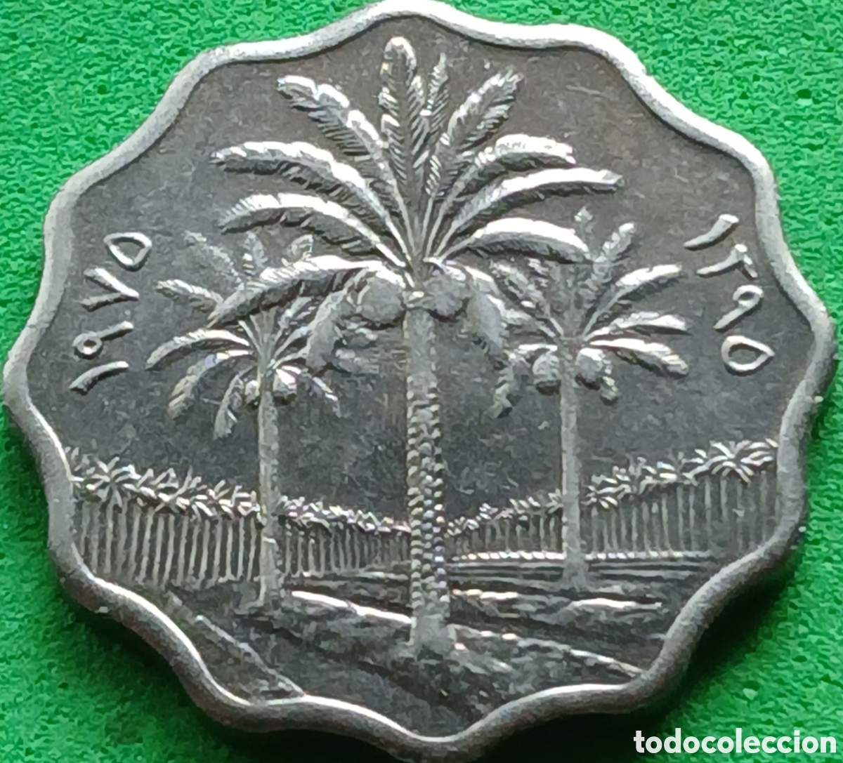 Monedas antiguas de Asia: Irak 5 fils 1975 km#125a