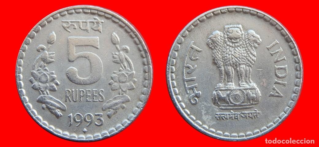 Monedas antiguas de Asia: 5 RUPIAS 1993 INDIA-144765