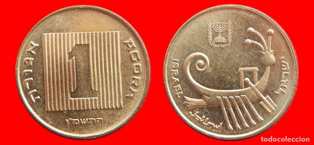 Monedas antiguas de Asia: 1 AGORA 1986 ISRAEL-144798