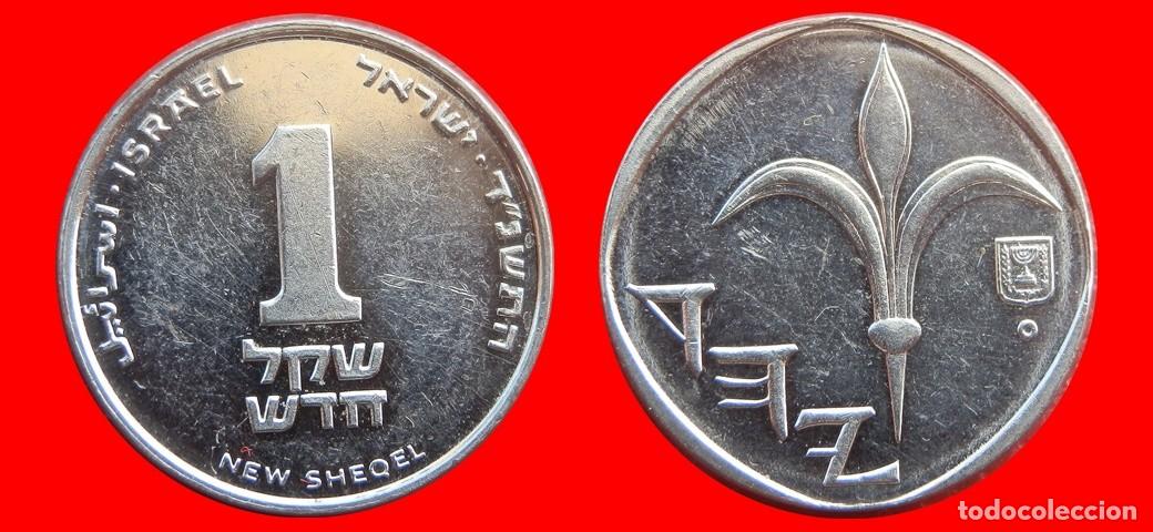 Monedas antiguas de Asia: 1 NUEVO SHEQEL 1994 ISRAEL-144830