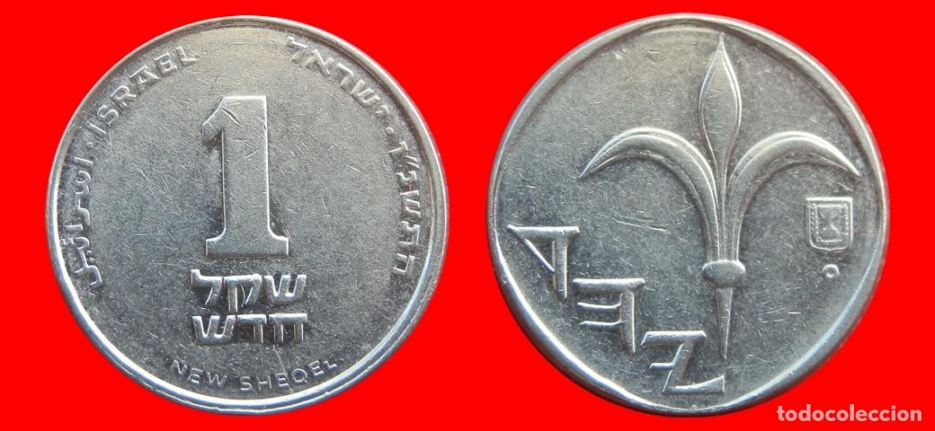 Monedas antiguas de Asia: 1 NUEVO SHEQEL 1996 ISRAEL-144831