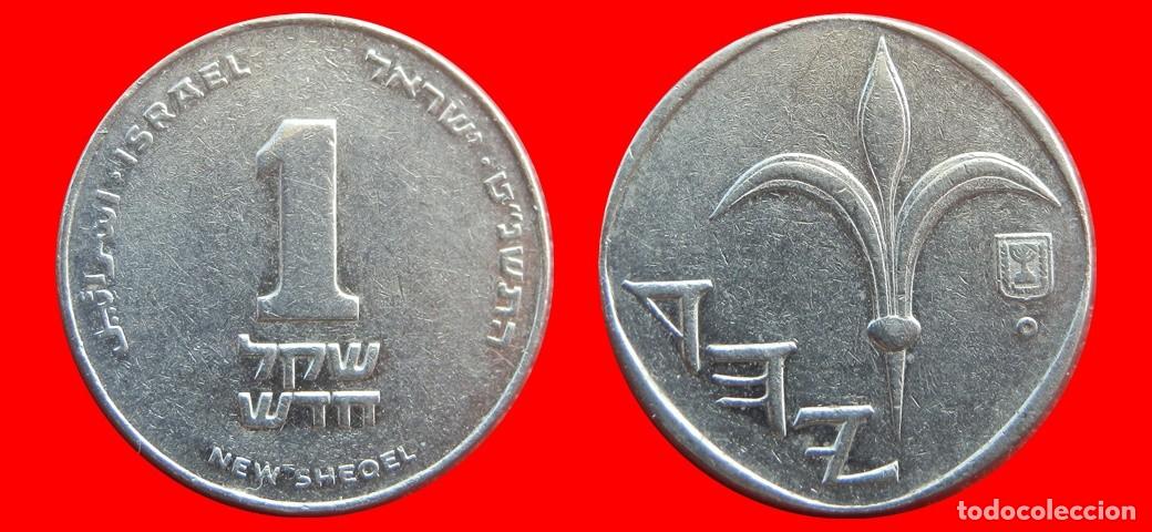 Monedas antiguas de Asia: 1 NUEVO SHEQEL 1999 ISRAEL-144832