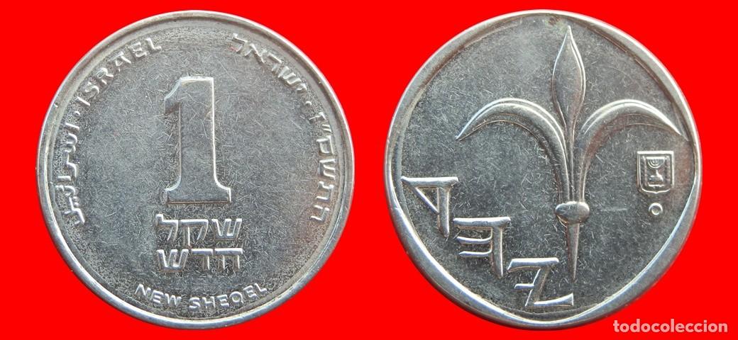 Monedas antiguas de Asia: 1 NUEVO SHEQEL 2006 ISRAEL-144834