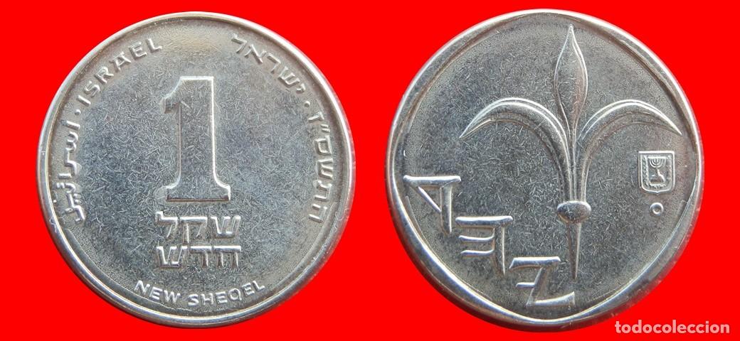Monedas antiguas de Asia: 1 NUEVO SHEQEL 2007 ISRAEL-144835