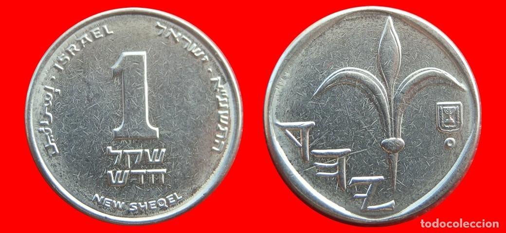 Monedas antiguas de Asia: 1 NUEVO SHEQEL 2011 ISRAEL-144836