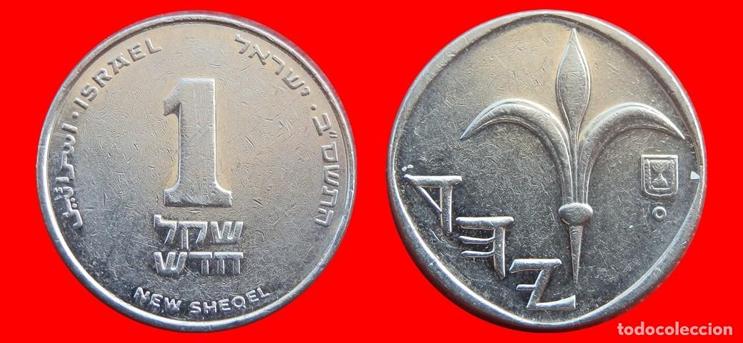 Monedas antiguas de Asia: 1 NUEVO SHEQEL 2012 ISRAEL-144837
