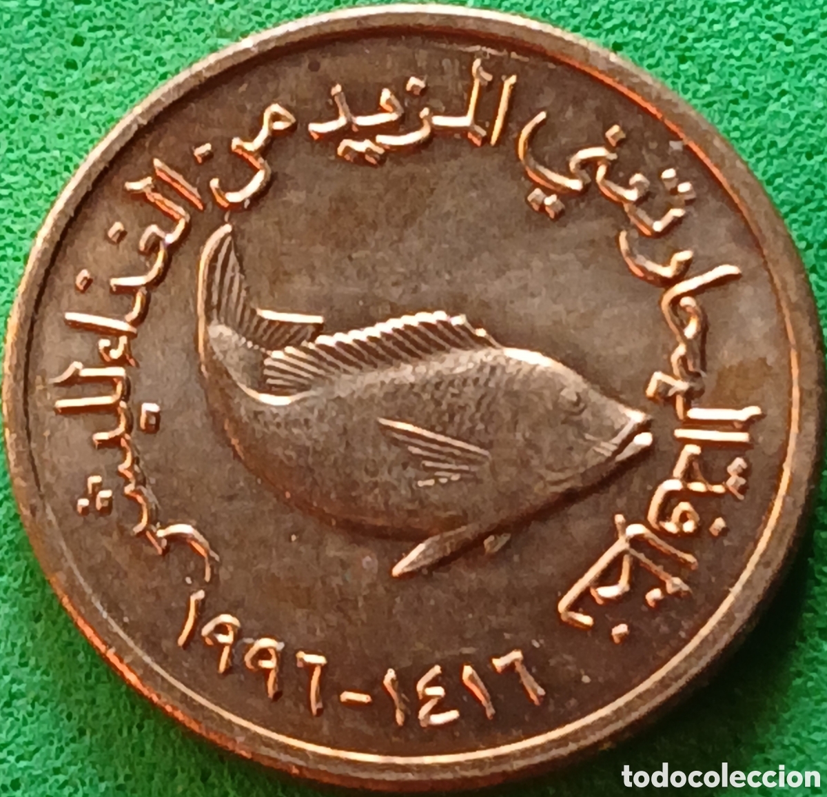 Monedas antiguas de Asia: Emiratos &Aacute;rabes Unidos 5 fils 1996 km#2.2