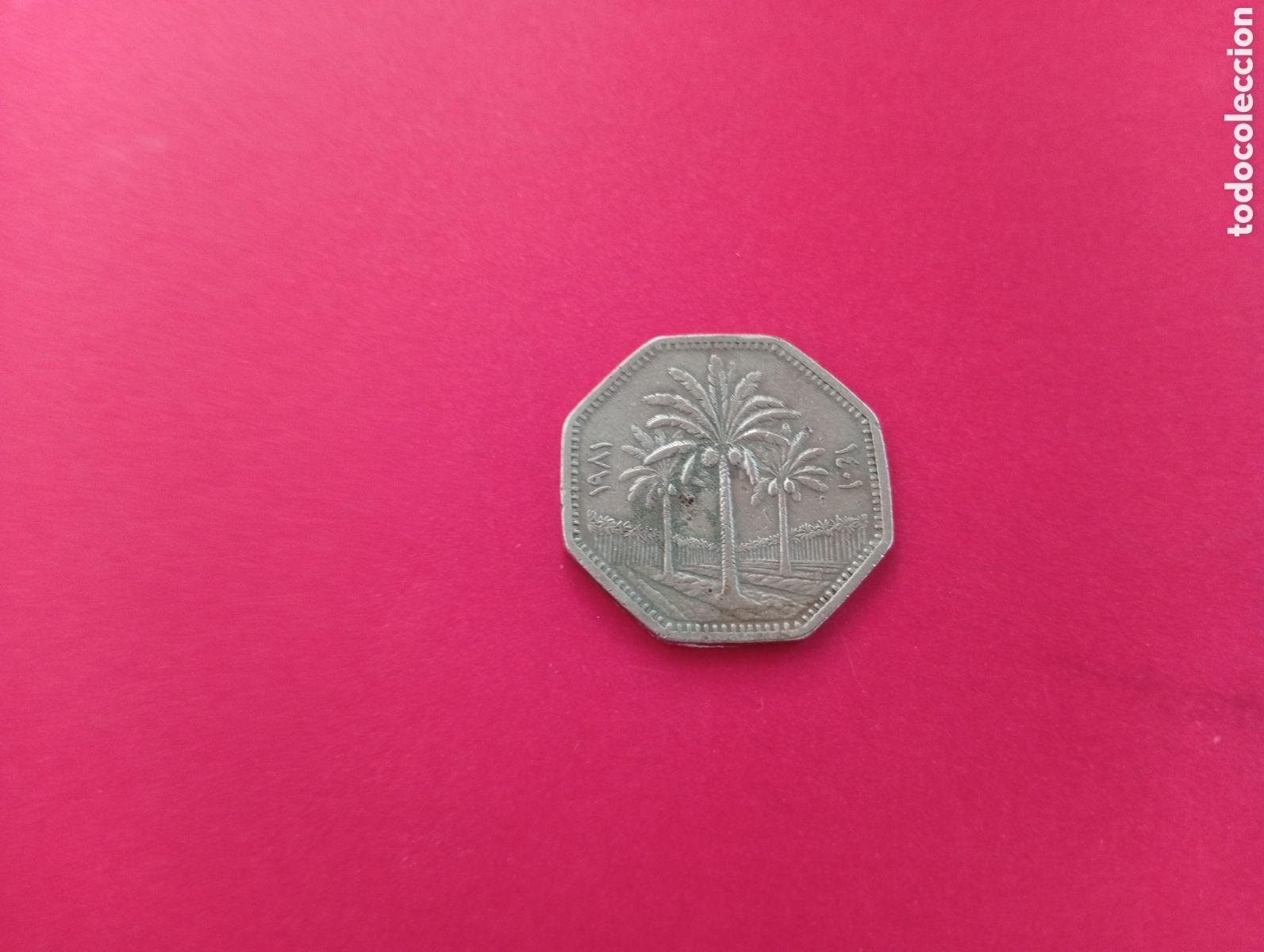 Monedas antiguas de Asia: 250 dinares de Irak 1981