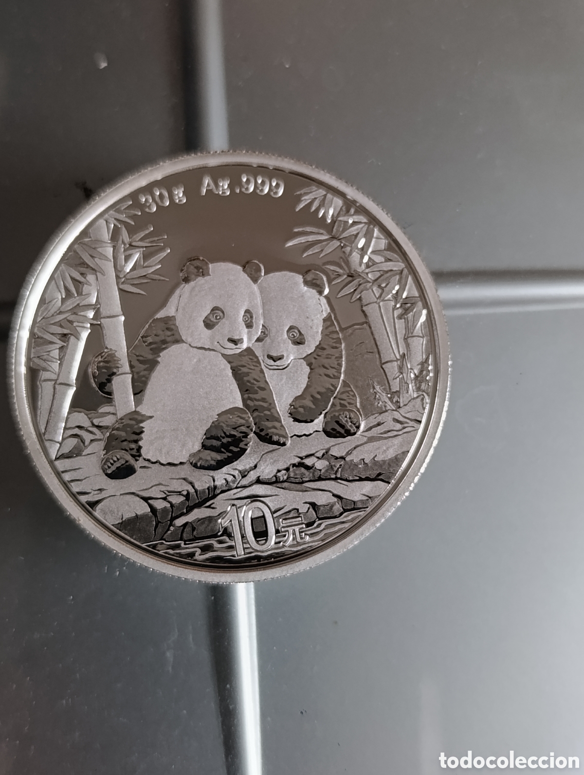 Monedas antiguas de Asia: Moneda Panda China 2026 &ndash; 10 Yuan Plata 31g Ag .999