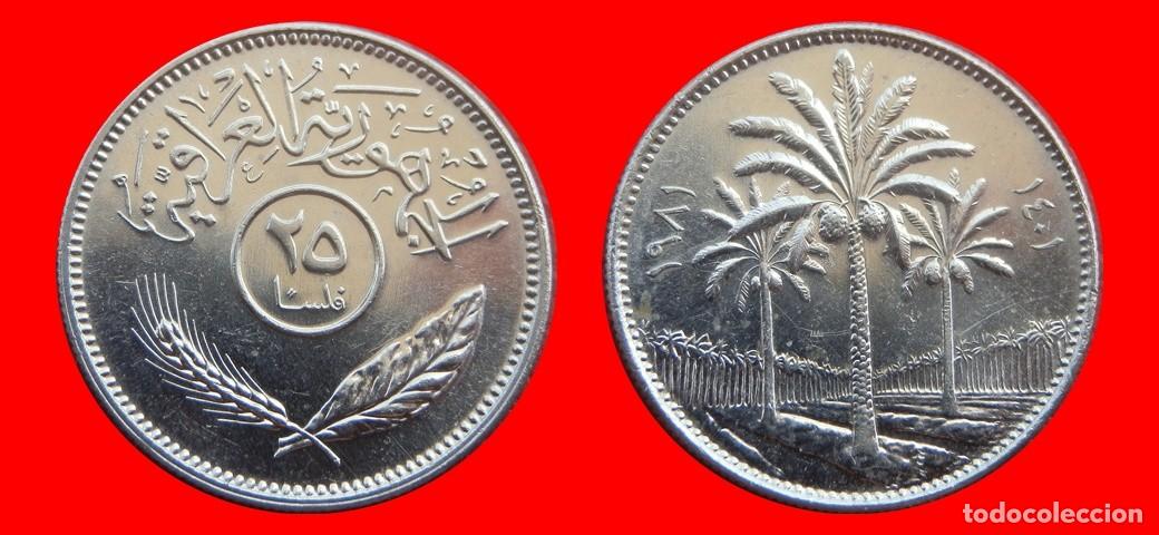 Monedas antiguas de Asia: 5 FILS 1981 IRAQ-151392